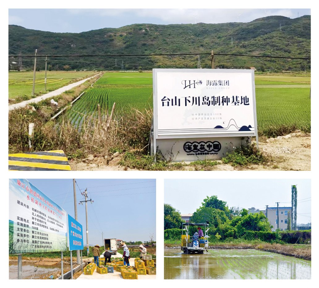 首页- 尊龙集团中国官网入口